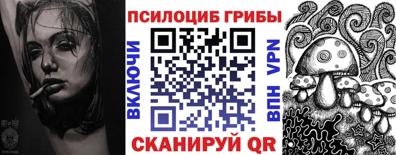 Псилоцибиновые грибы Cubensis  Купить где  Шебекино 
