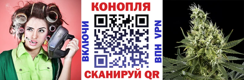 Купить где  Шебекино  Марихуана планчик 